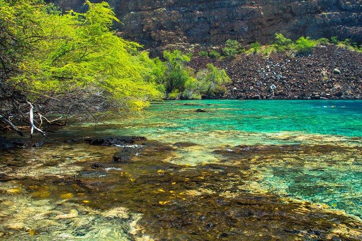 Small-Group Snorkel at Kealakekua Bay in Captain Cook, Big Island