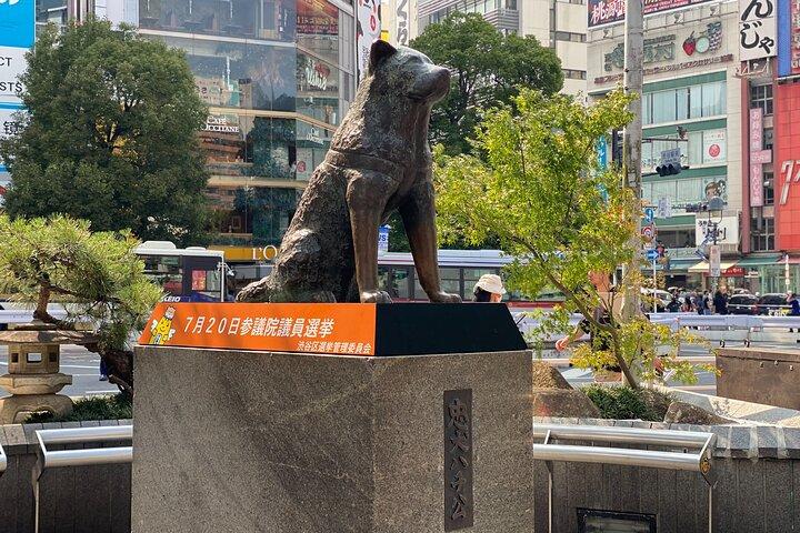 Shibuya Walking Tour: Crossing, Hidden Streets & Local Culture