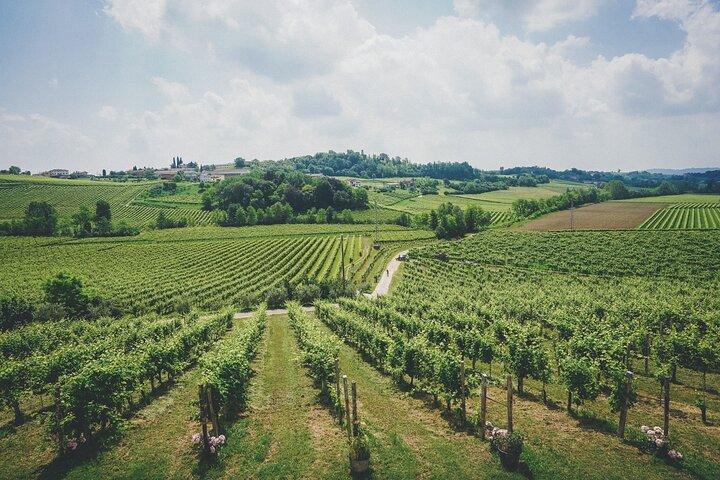 From Venice: Prosecco Wine Region Tour with 2 Tastings