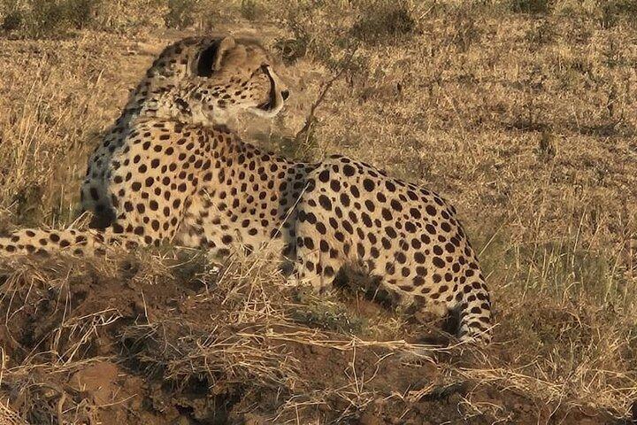 5 Days Migration Safari Adventure in Tanzania