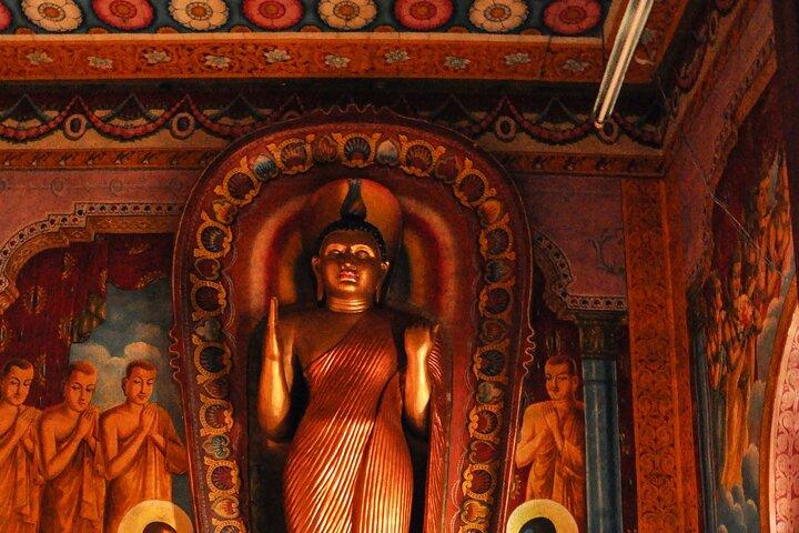 Best of Sri Lanka 7 Day All Inclusive Tour