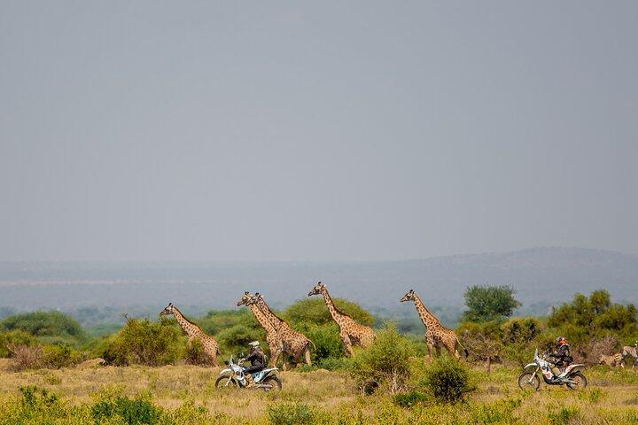 One-Day Motorbike Adventure