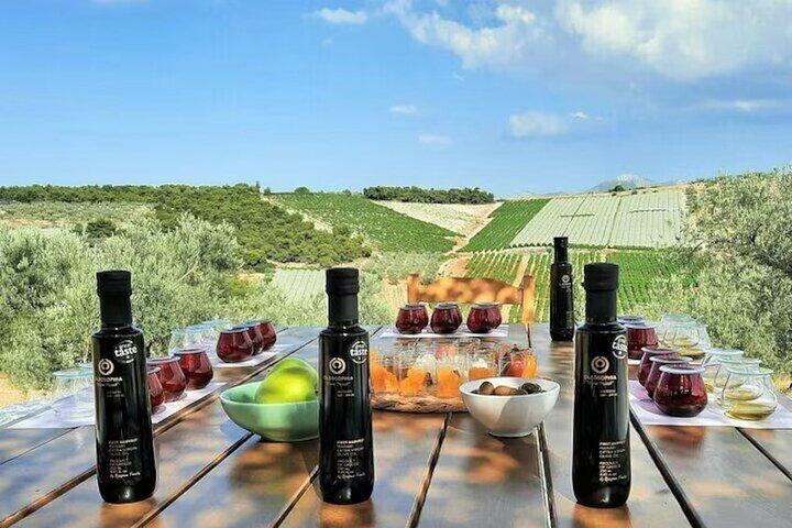 Mercedes Private Olive and Wine Tour..in the fields