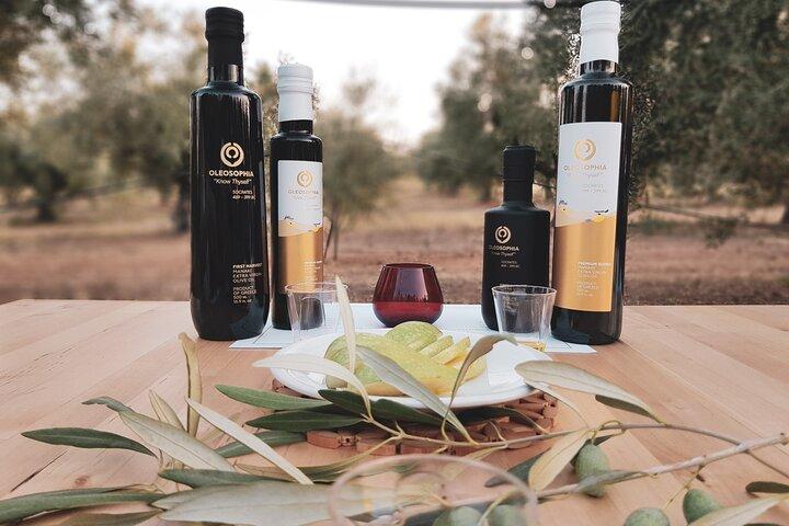 Mercedes Private Olive and Wine Tour..in the fields