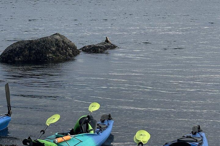 Rosario Coastal Kayak Tour on Orcas Island
