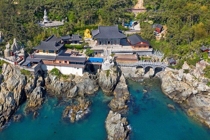For Busan Cruise Guest highlight Day tour