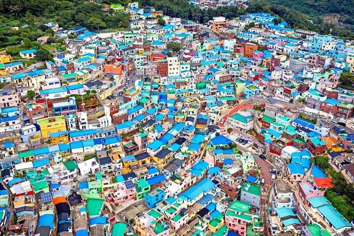 For Busan Cruise Guest highlight Day tour