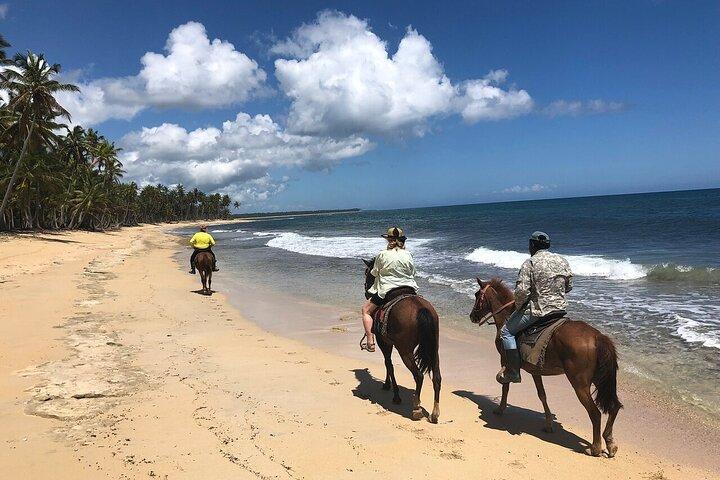 Horseback Riding Adventure to Macao Alto Beaches in Punta Cana