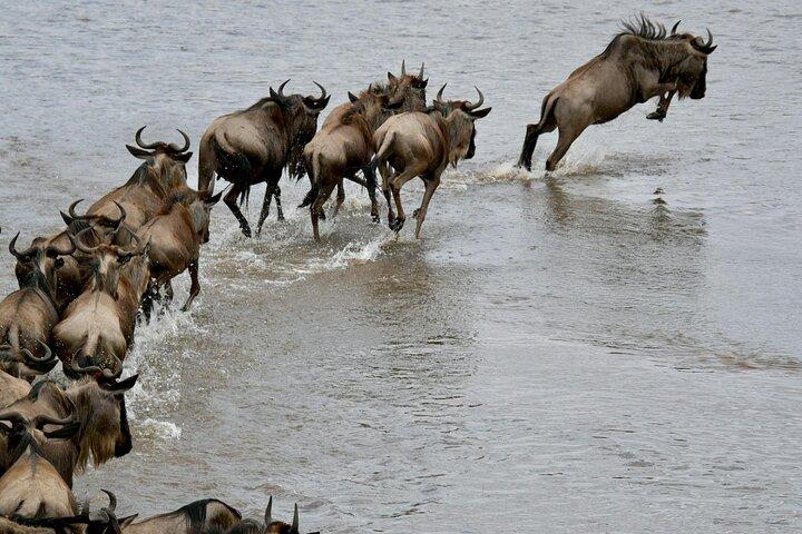3 Day Serengeti And Ngorongoro Safari Adventure