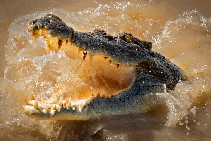 Darwin: Jumping Crocodiles & Land-based Barramundi Fishing