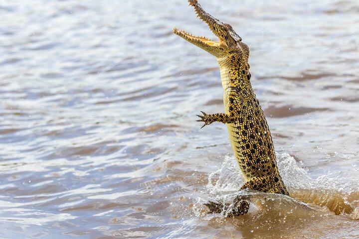 Darwin: Jumping Crocodiles & Land-based Barramundi Fishing