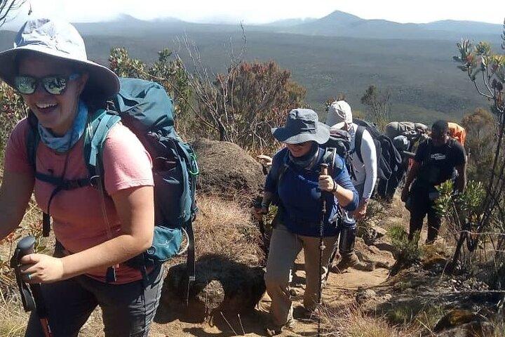 8-Day Lemosho Route Kilimanjaro Trekking Adventure