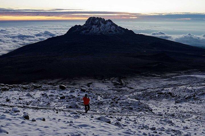 8-Day Lemosho Route Kilimanjaro Trekking Adventure