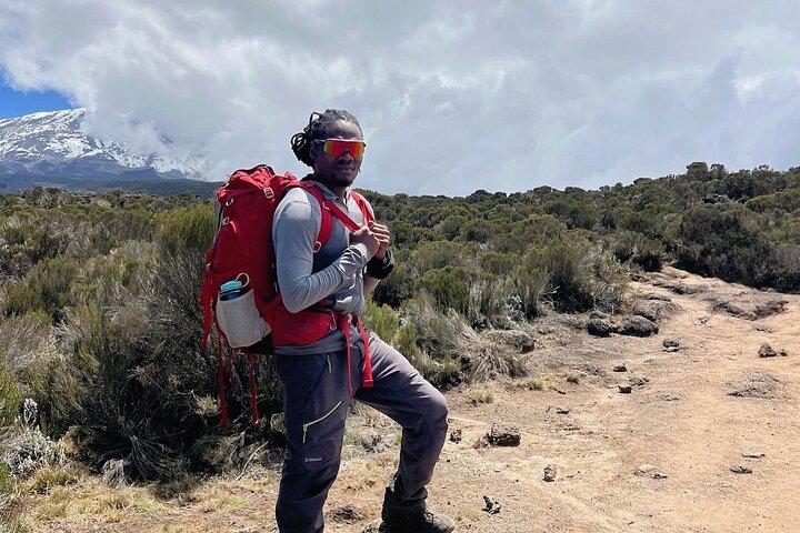 8-Day Lemosho Route Kilimanjaro Trekking Adventure