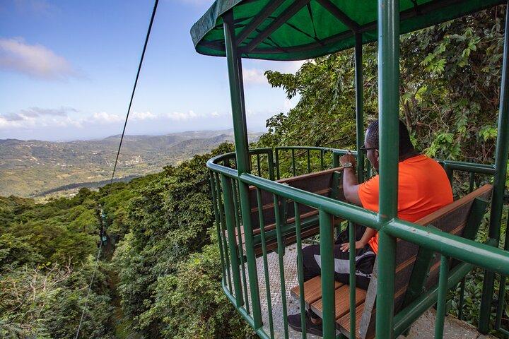 St. Lucia Aerial Tram Tour at Rainforest Adventures
