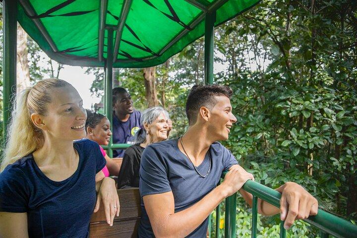 St. Lucia Aerial Tram Tour at Rainforest Adventures