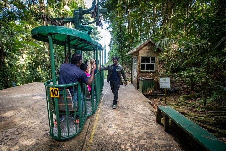 St. Lucia Aerial Tram Tour at Rainforest Adventures