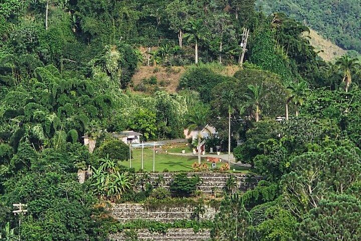 Blue Mountain Coffee Hike and Tour