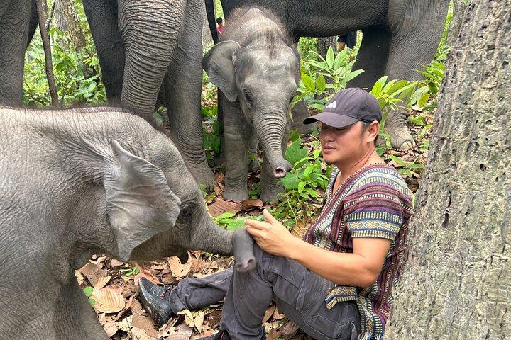 Chiang Mai Half Day Tour: Doi Inthanon Elephant Sanctuary