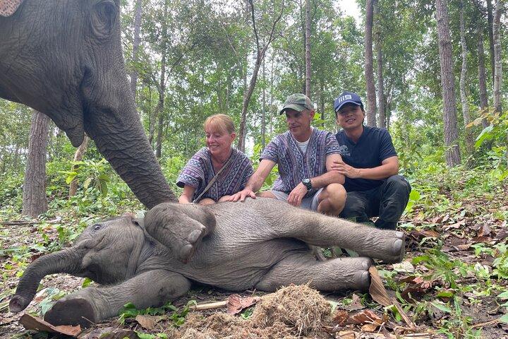 Chiang Mai Half Day Tour: Doi Inthanon Elephant Sanctuary