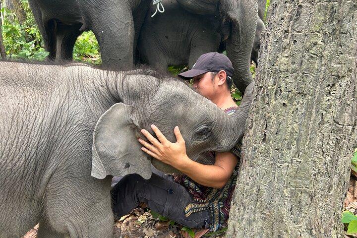 Chiang Mai 1 Day: Elephant Sanctuary, Waterfall & Bamboo Rafting