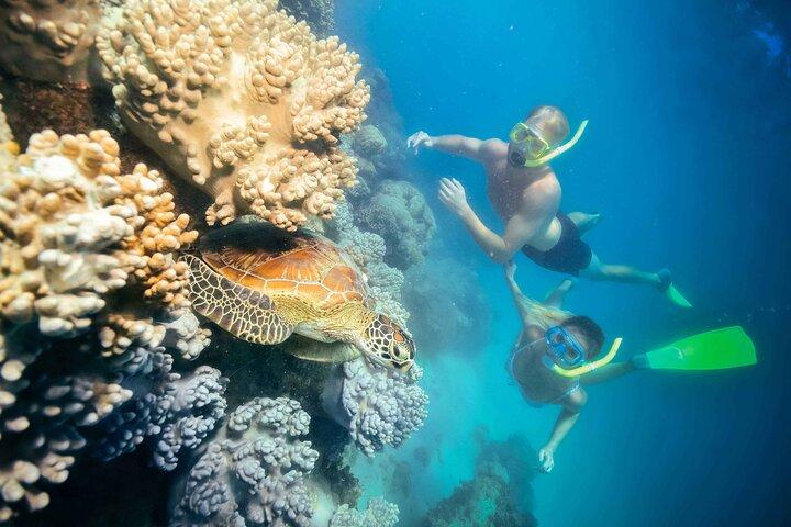 Full Day Green Island & Great Barrier Reef Tour from Cairns
