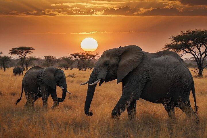 The Great Kenya Escape Safari Splendor and Coastal Bliss