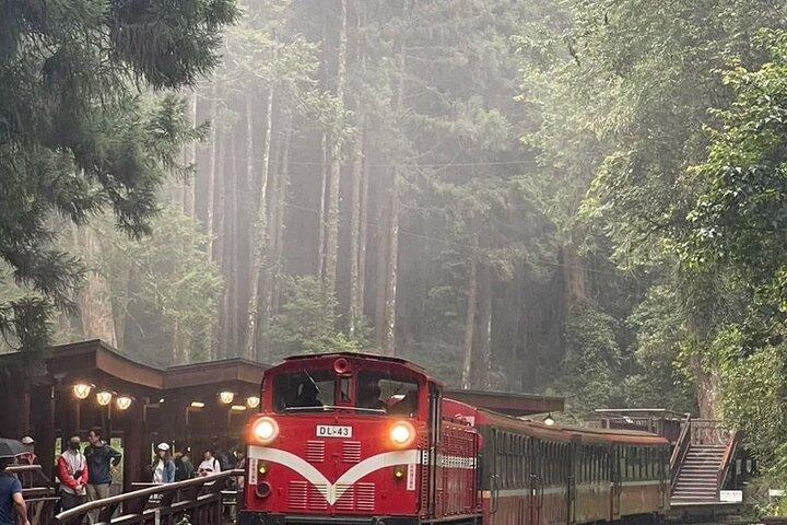 Alishan Scenic One Day guided Tour from Taichung