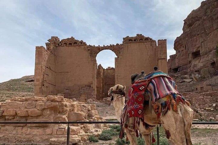 Private 3-Hour Petra Tour: Treasury, Siq & Ancient City