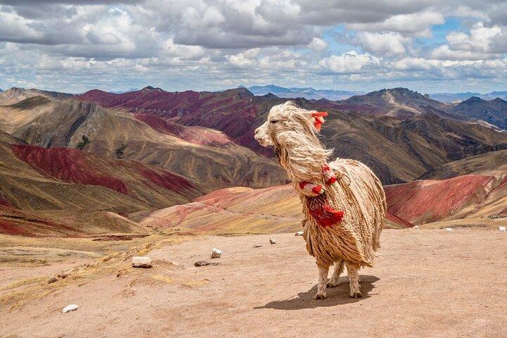 Palcoyo Rainbow Mountain Full Day Tour from Cusco