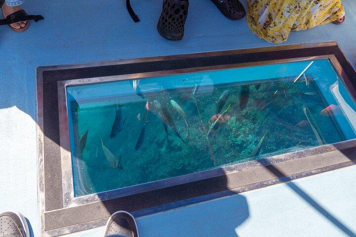 Famous Arch tour with Glass Bottom Boat.