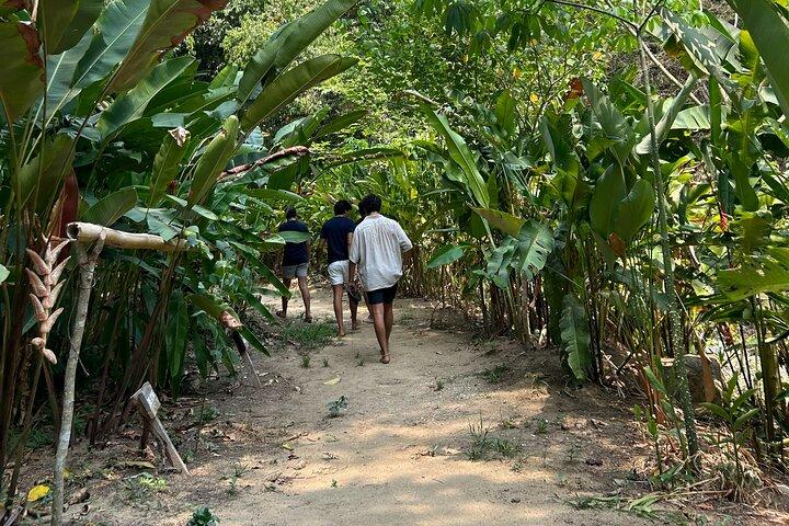 From Huatulco : Exotic garden on ecotourist ranch