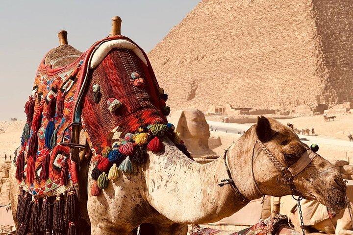 Giza Wonders Pyramids, Sphinx, and Desert Camel Ride