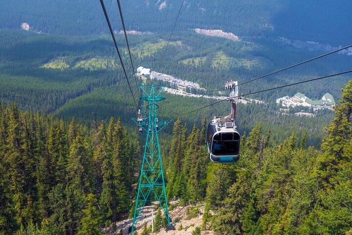 Banff Highlights and Wildlife Small Group Tour with Gondola