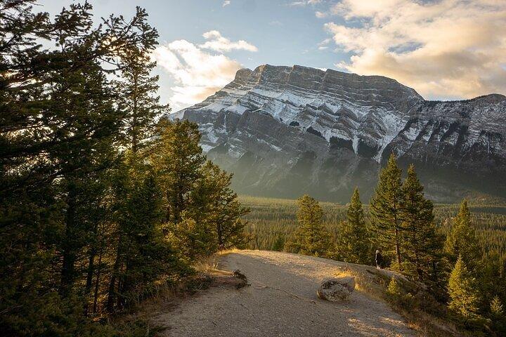 Banff Highlights and Wildlife Small Group Tour with Gondola