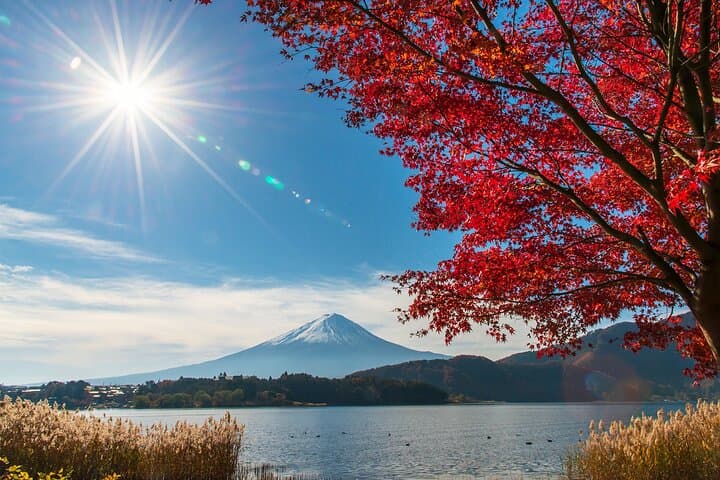 Mt. Fuji & Hakushu Distillery Whisky Museum Bus Tour from Tokyo