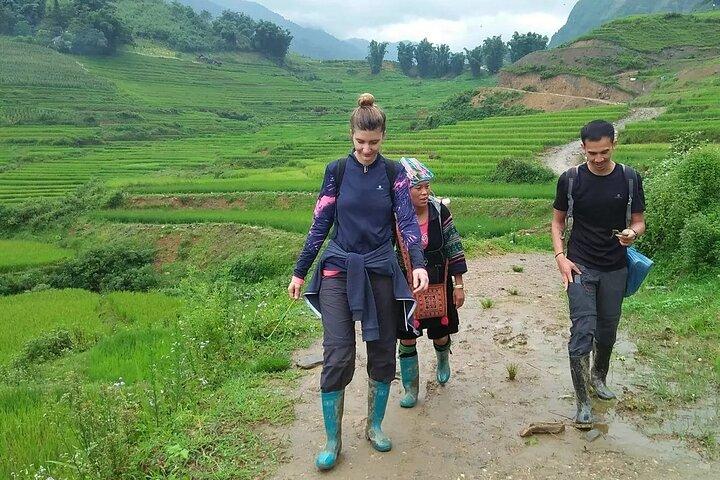 Sapa Trekking Adventure: Explore Rice Terraces, Ethnic Villages