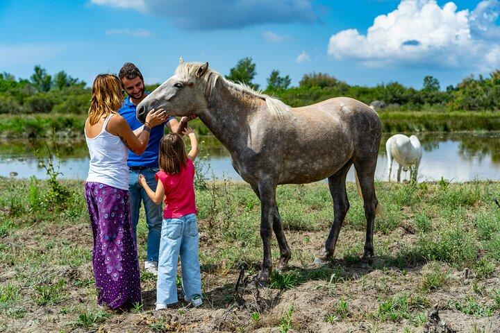 Camargue Electric Car Safari in a Nature Reserve