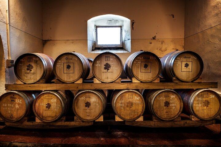 Wine and Olive Oil Full Tour in Chianti Hills