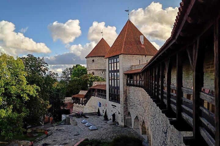 Tallinn Old Town Private Walking Tour with Native Estonian Guide
