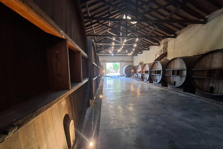 Excursión de 3 bodegas y 1 olivícola con degustación
