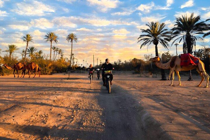 Experience Through Marrakesh City Streets by E-Bike