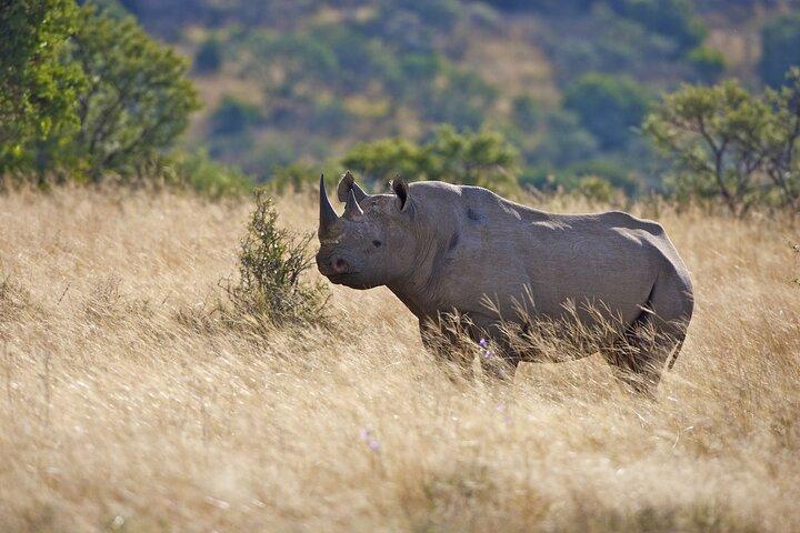 3 Day Serengeti National Park & Ngorongoro Crater Camping Safari