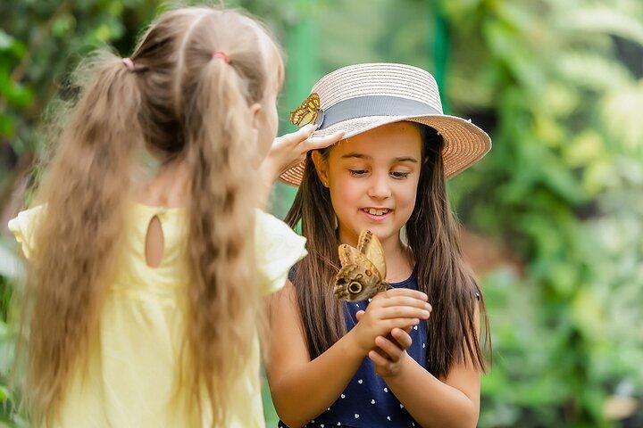 Dubai Butterfly Garden Ticket Deals