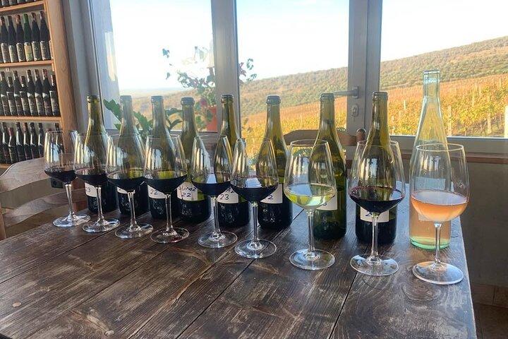Zvernec Monastery, Apollonia and Wine Tasting From Vlora