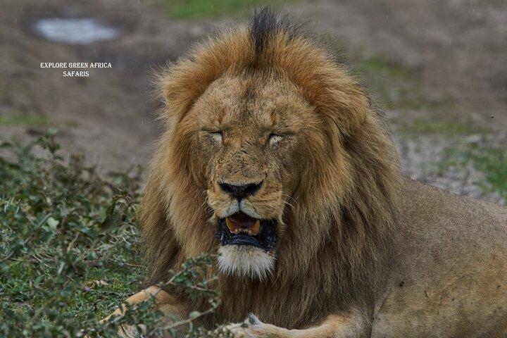 3 Day Safari in Serengeti National Park and Ngorongoro crater