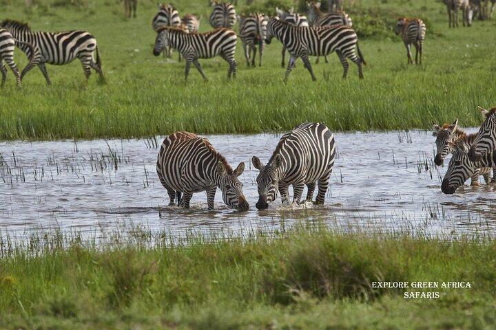 3 Day Safari in Serengeti National Park and Ngorongoro crater