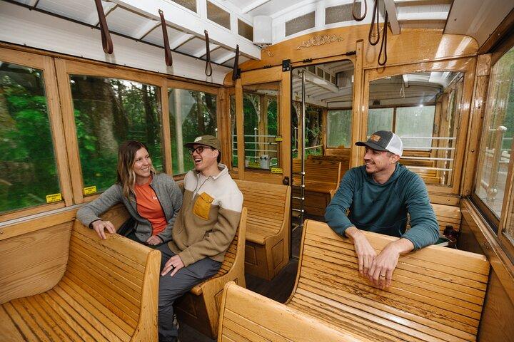 Waterfall Hop-On Hop-Off Trolley Tour Multnomah Falls Day Pass