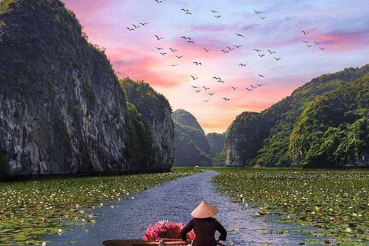 Ninh Binh Day Tour Hoa Lu,Bai Dinh Trang An,Tam Coc, Mua Cave
