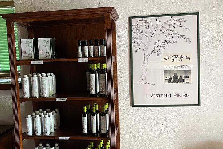 Visit olive groves and oil mill with oil tasting in Trevi in Umbria